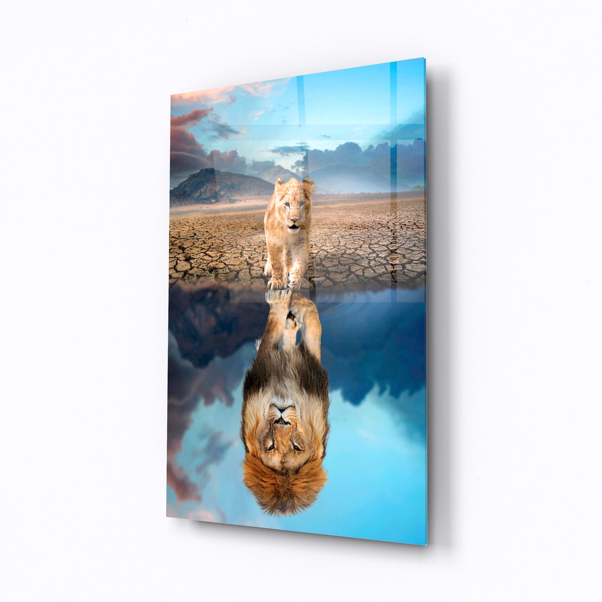 Animal wall art. Reflection of a lion in the water.