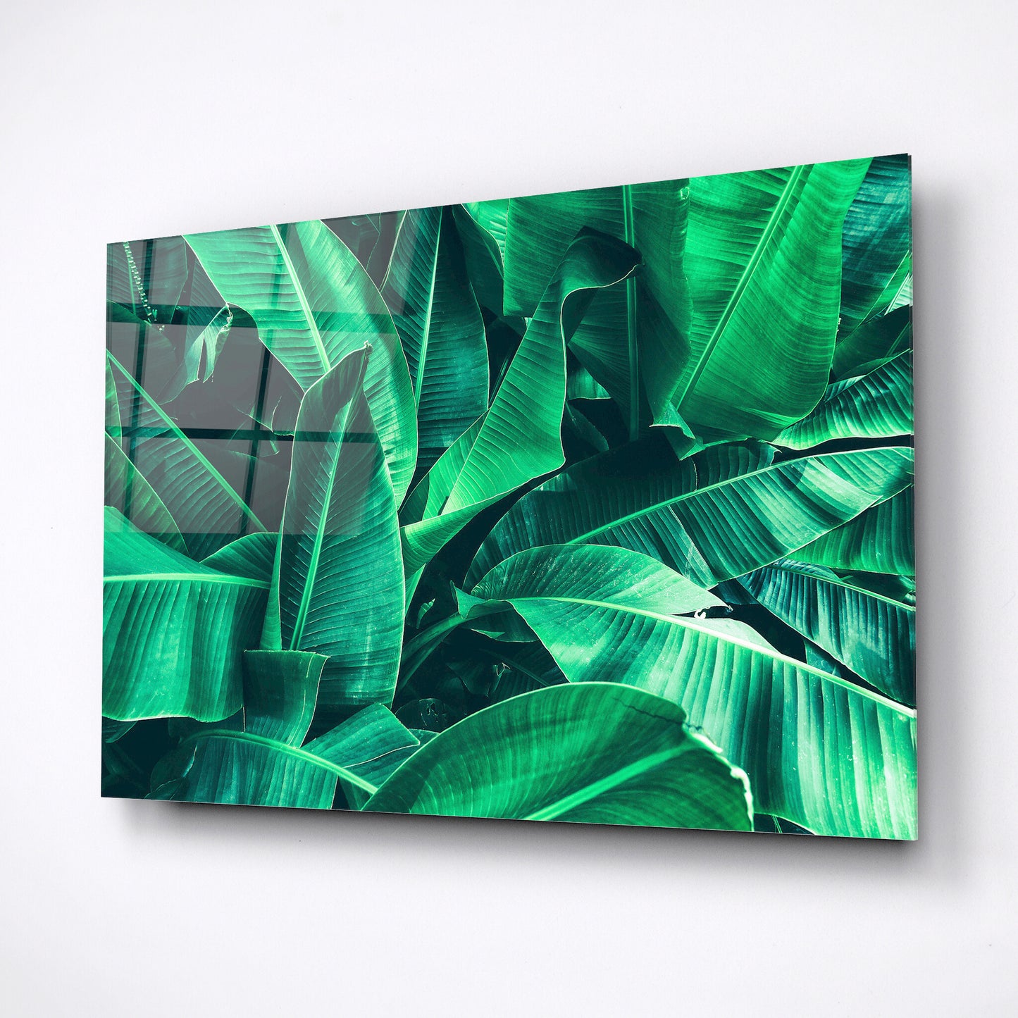 tropical leaf home decor